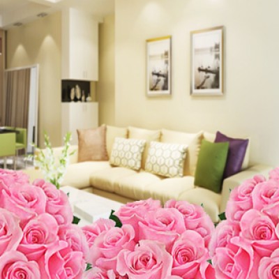 Room full of Pink Roses