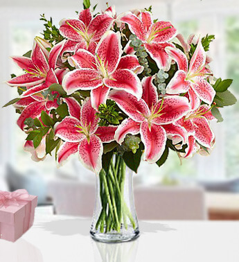 Charming Pink Lilies