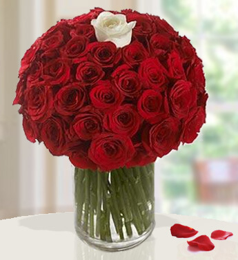 Bold Bouquet ( 101 Roses )